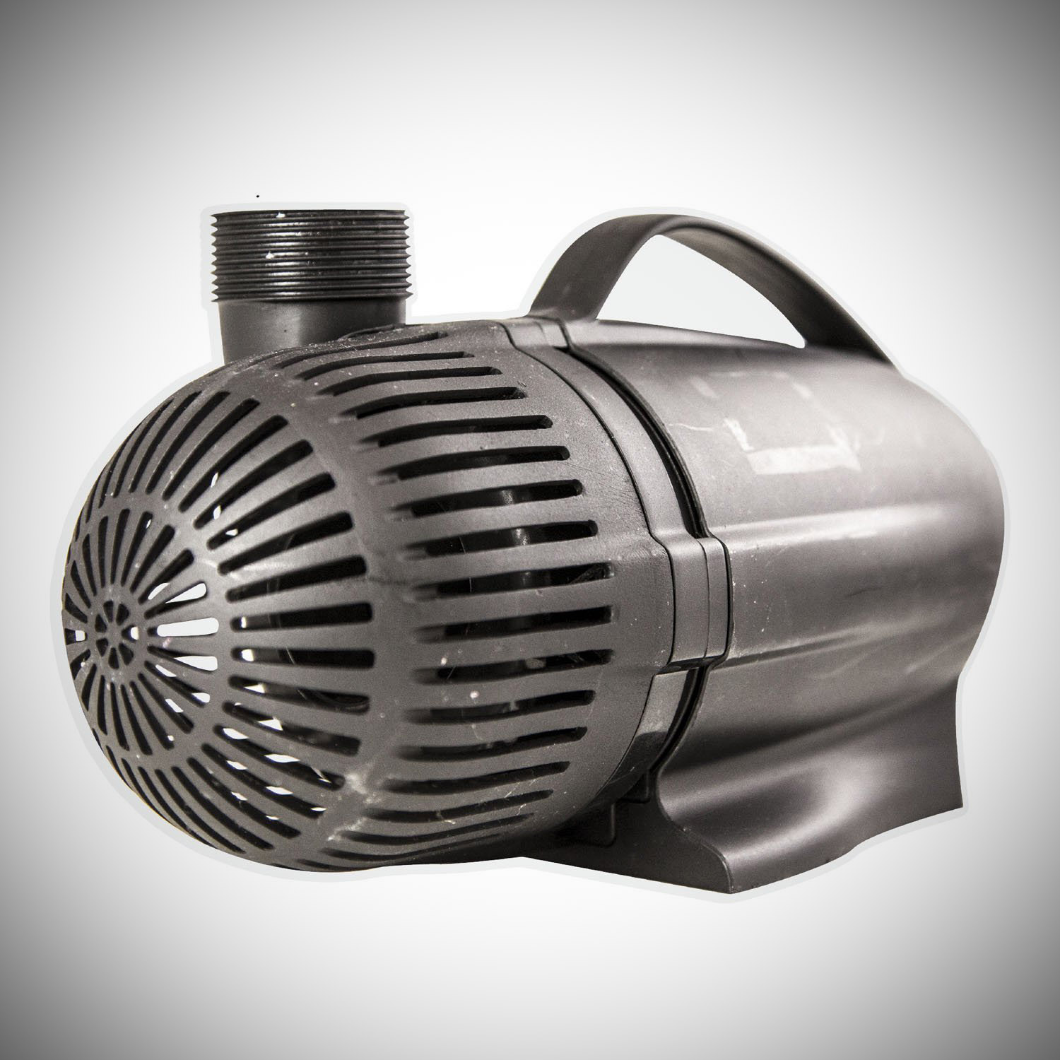 Best Pond Pumps The Top Options