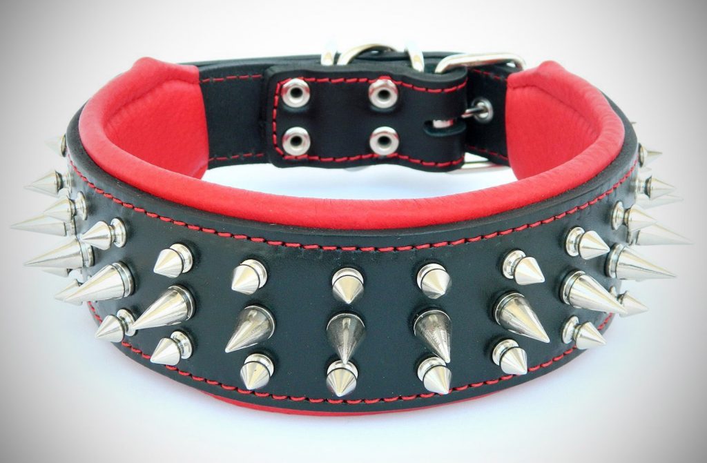 The Toughest Dog Collars & Unchewable Dog Collar (August 2024)