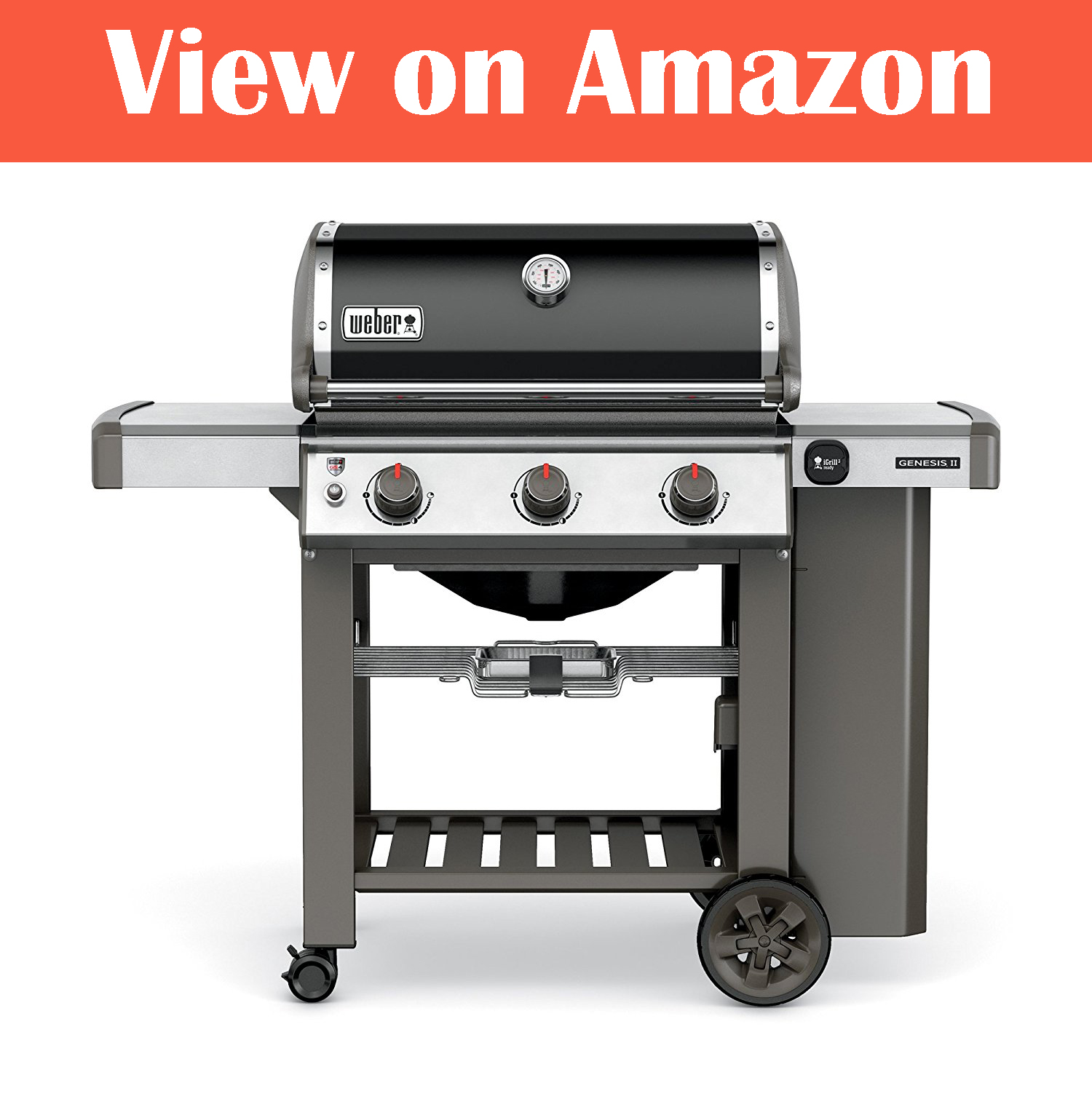 er Spirit vs Genesis Detailed Comparison and Review (August 2024)