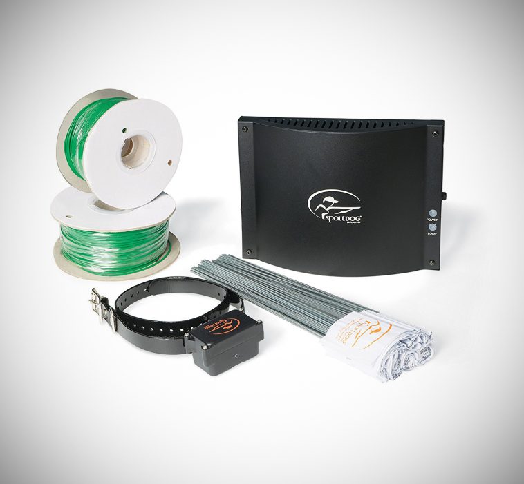 Best Wireless Dog Fence Reviews (January 2023) Buyers Guide